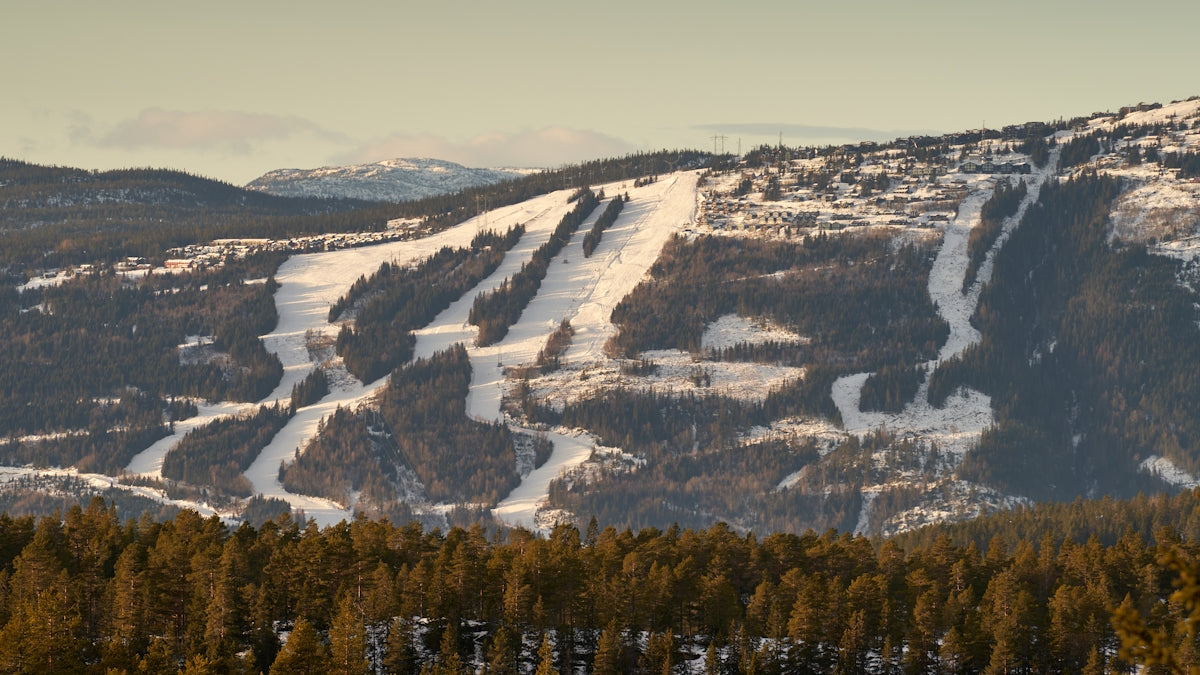 Ski slopes cut through a snowy mountain landscape.